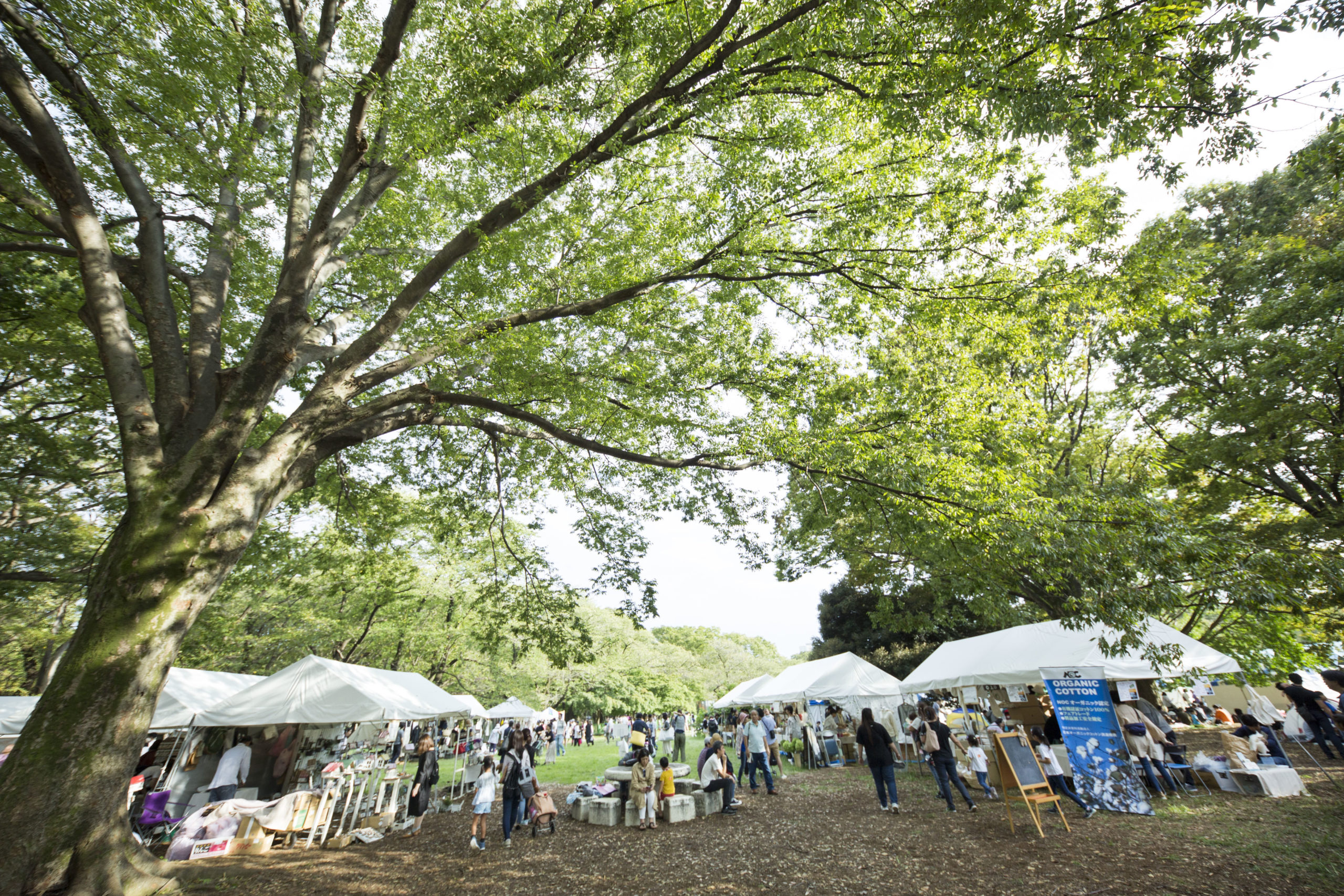 ロハスフェスタ東京 ロハスフェスタ Lohas Festa